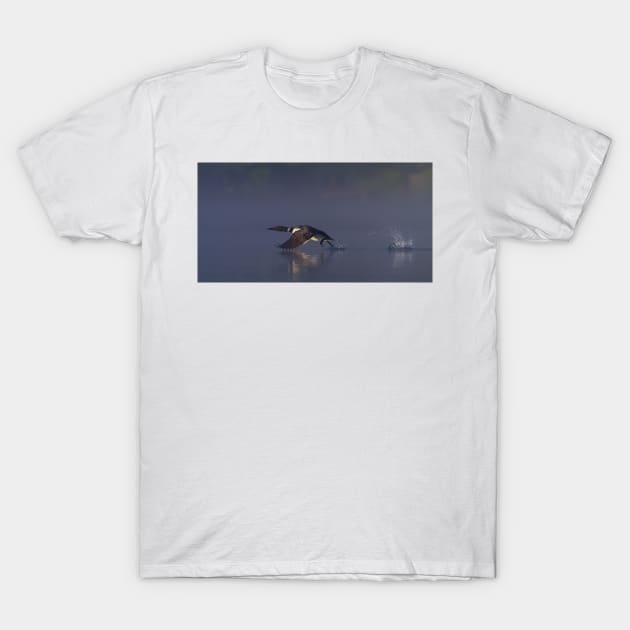 Common loon skipping T-Shirt by Jim Cumming